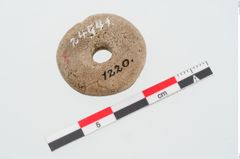 Foto von Beinringperle (NHMW-PRAE-024941)